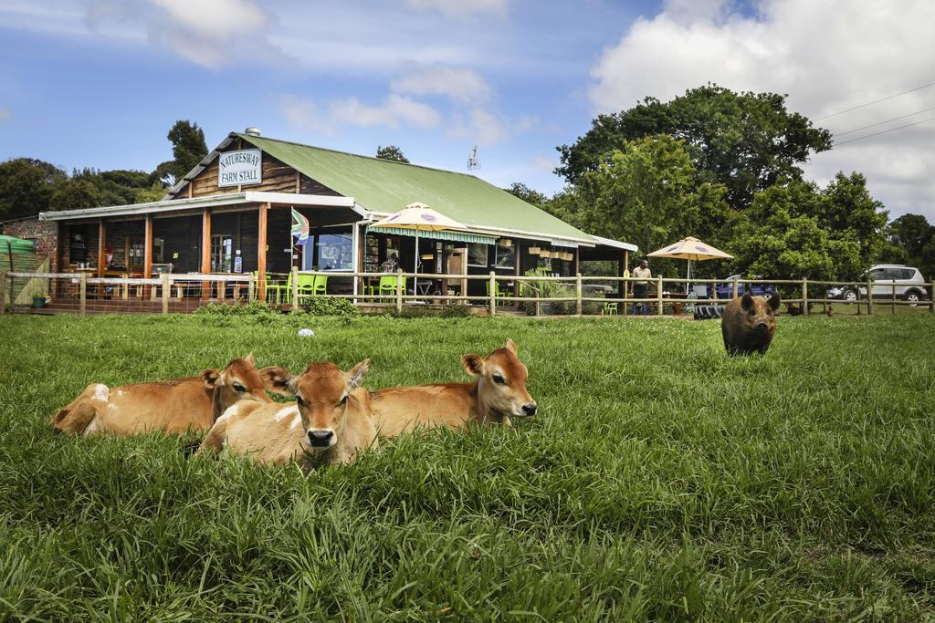 Natures Way Farm Cottage The Crags Экстерьер фото